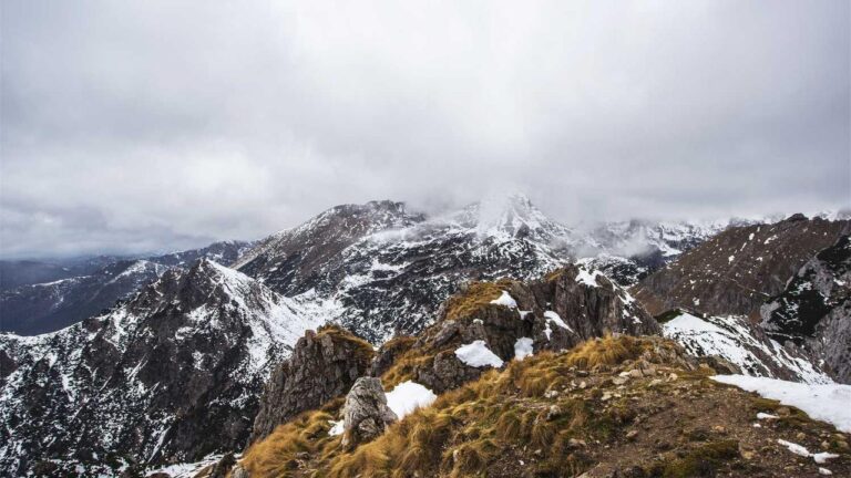 Is 11Xplay Pro Id India Available In Regional Languages?